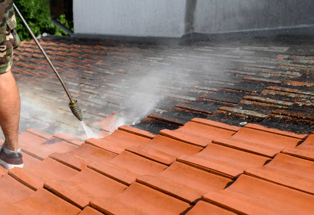 Best Pressure Washing Near Me  in Sugarmill Woods, FL
